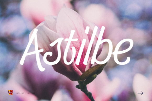 Astilbe: A Versatile Script Handwritten Font for Digital Design