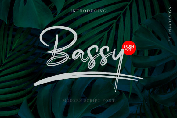 Bassy: A Stylish Script Font for Modern Web Design