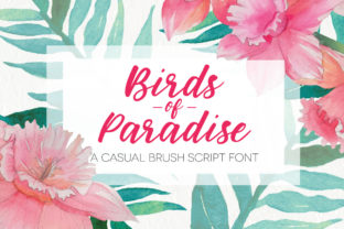 Birds of Paradies: A Playful Script Handwritten Font for Real Branding