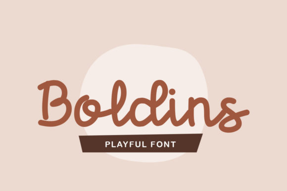 Boldins Script Handwritten Font for Joyful Branding