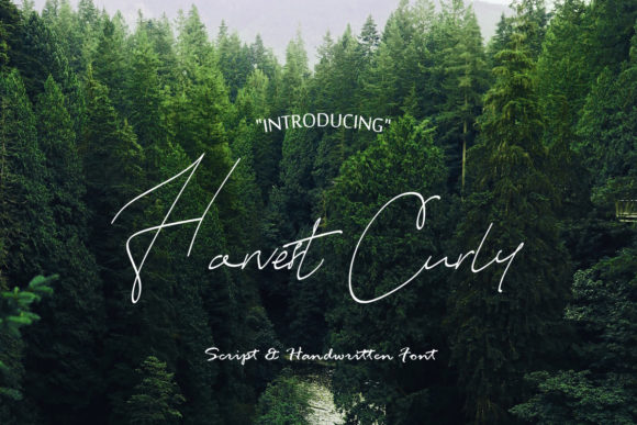 Harvest Curly Font for Handmade Product Labels & Creative Shops