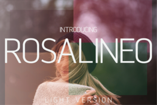 Rosalineo Light: A Clean Sans Serif Font for Campaign Clarity