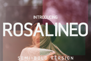 Rosalineo Semi-Bold: A Clean Sans Serif Font for Small Business Branding