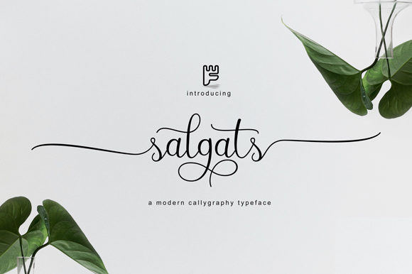 Salgats: An Elegant Script Font for Brand Campaigns